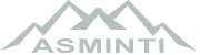 ASMINTI